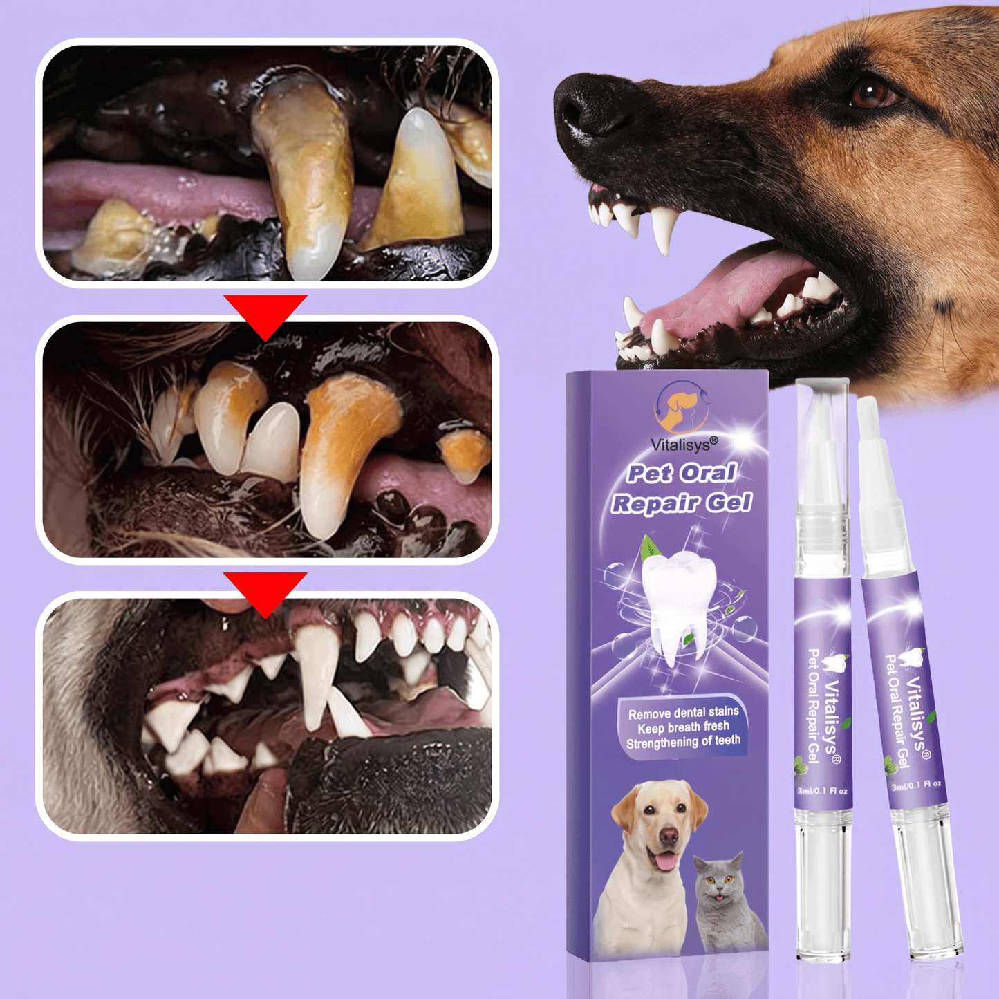 🌈Vitalisys® Pet Oral Repair Gel--Remove stains, Tartar and Calculus--Safe and Edible