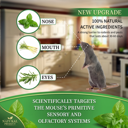 Peppermint Pest Repellent Balls - Mice Rats Spiders Gone!--Safe For Pets