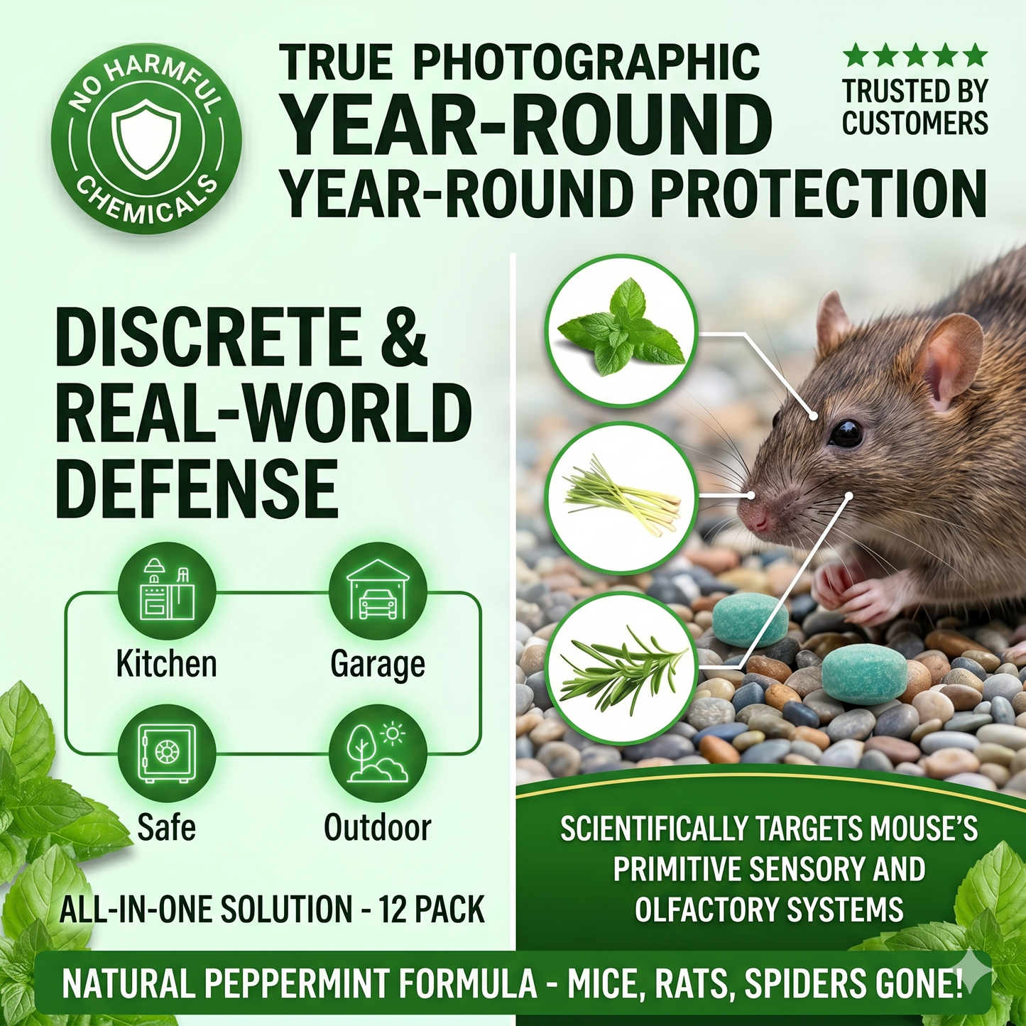 Peppermint Pest Repellent Balls - Mice Rats Spiders Gone!--Safe For Pets