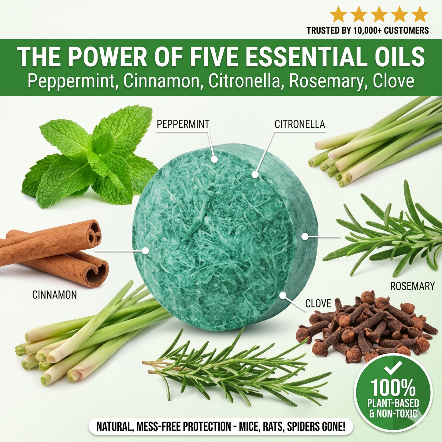 Peppermint Pest Repellent Balls - Mice Rats Spiders Gone!--Safe For Pets